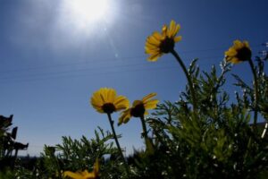 Καιρός: Αίθριος καιρός και μικρή άνοδος της Θερμοκρασίας