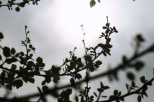 Καιρός: Μικρή πτώση της θερμοκρασίας σήμερα