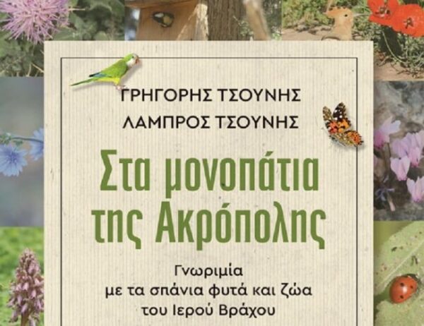 monopatia akropolis1