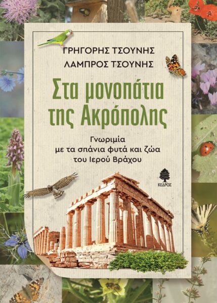 ΣΤΑ ΜΟΝΟΠΑΤΙΑ ΤΗΣ ΑΚΡΟΠΟΛΗΣ