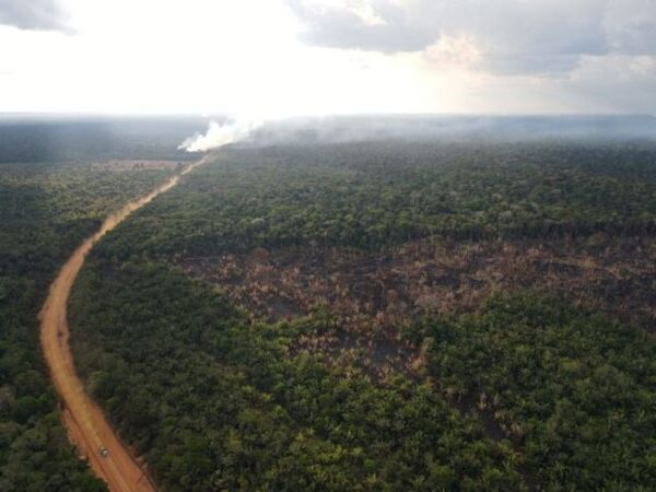 file photo: fires surge in brazilian amazon for third straight year in august in labrea