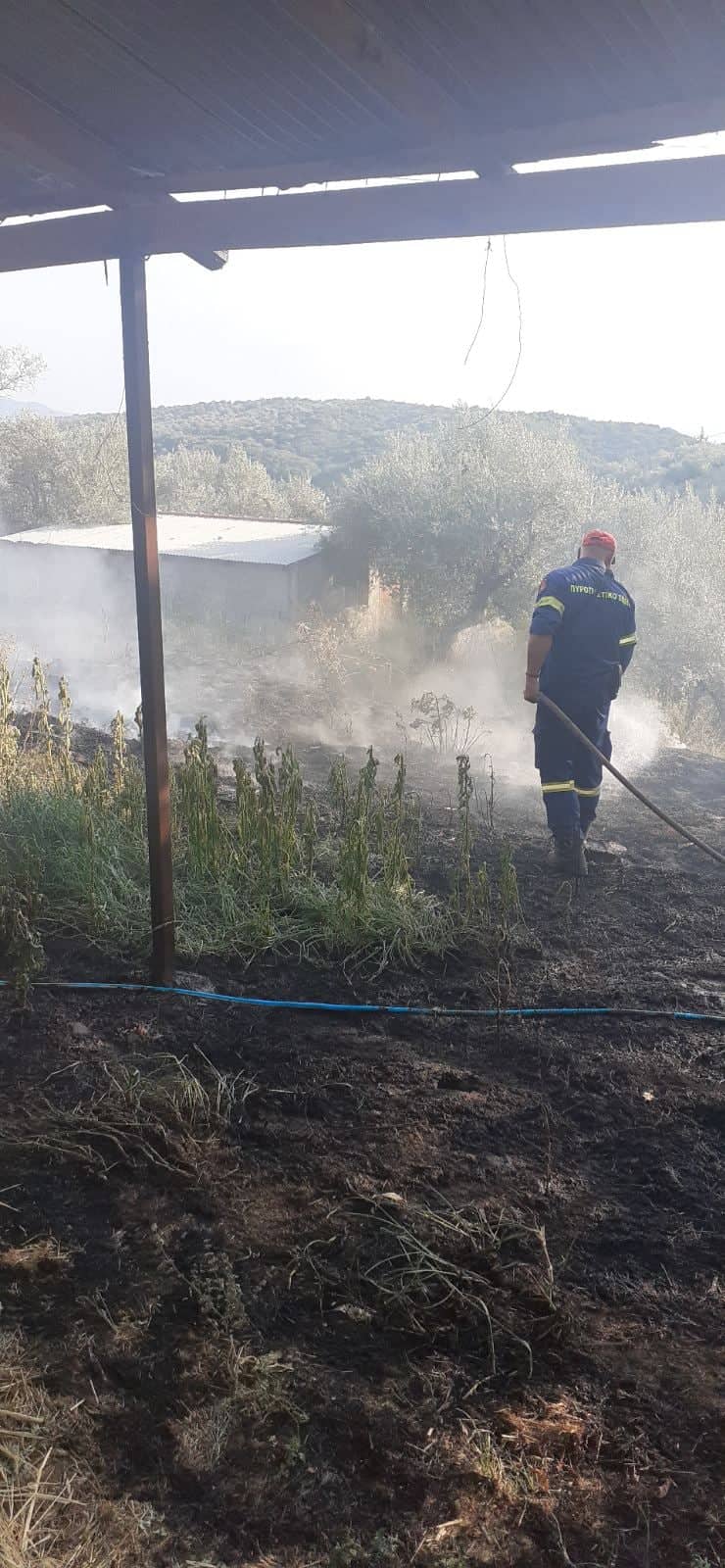 297989711 3258733774371744 6888312665152023773 n