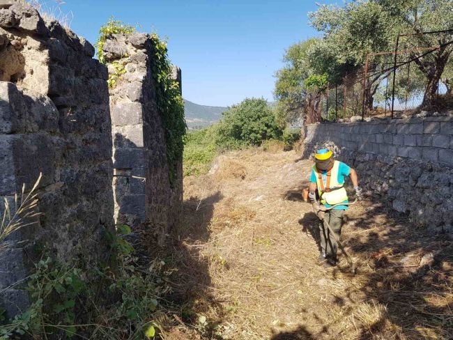 Αντιπυρική ζώνη Πρόδρομος 14