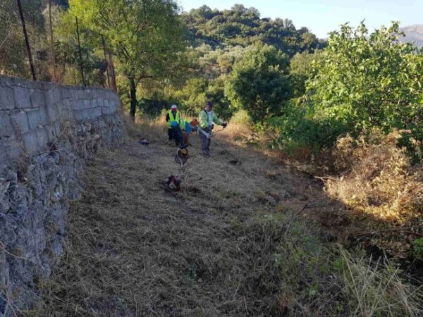 Αντιπυρική ζώνη Πρόδρομος 6