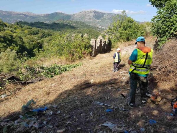 Αντιπυρική ζώνη Πρόδρομος 8