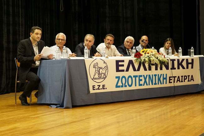 Οργανωτική Επιτροπή