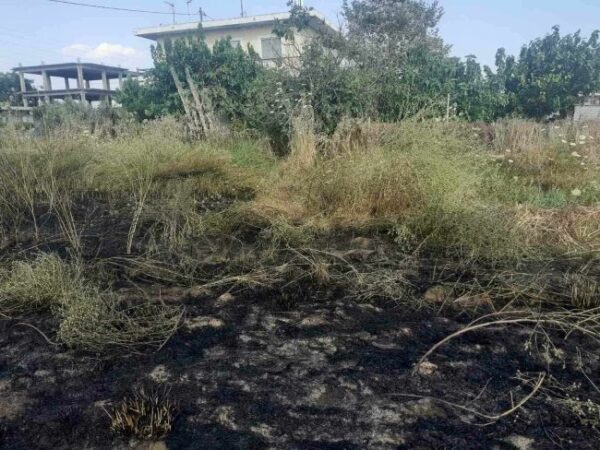 361829622 6368656223223497 640220158533756135 n