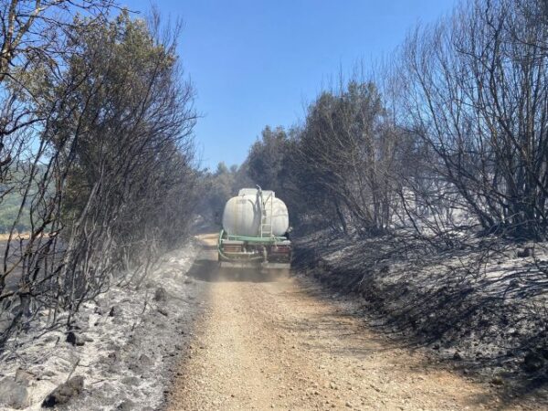 Φωτιά στον Μαχαιρά 2772023 (13)