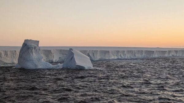 iceberg arthro