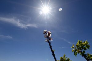 Σχεδόν αίθριος ο καιρός σήμερα