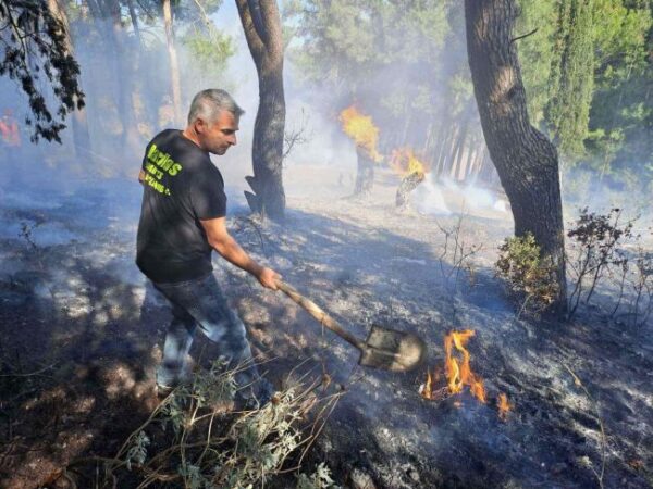 Φωτιά δασύλλιο Φυτείες 1 ΝΟΕ 2024 (3)