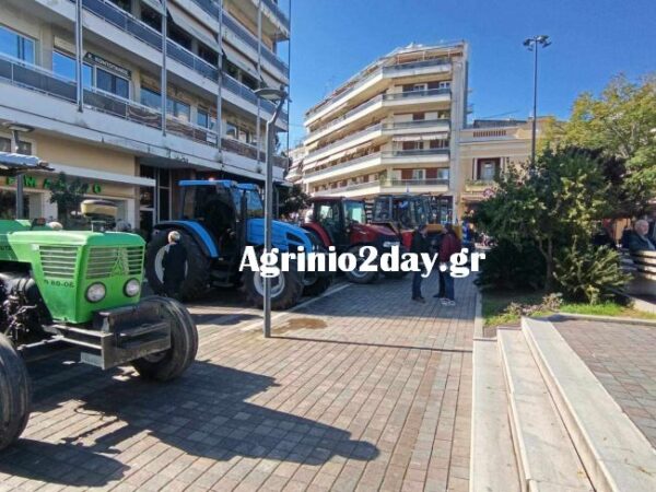 agrotes2