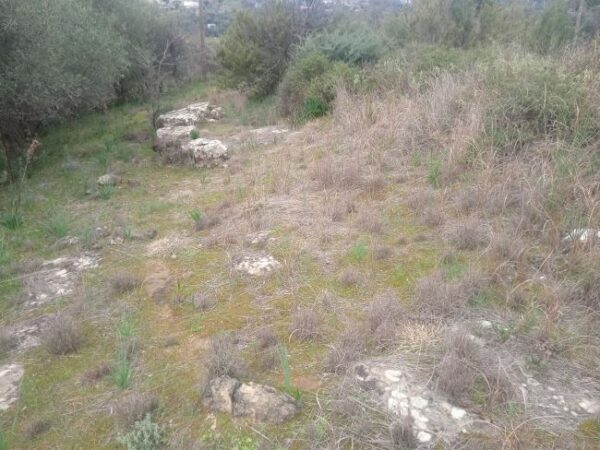 480638567 9322987374463261 7058532731634839409 n