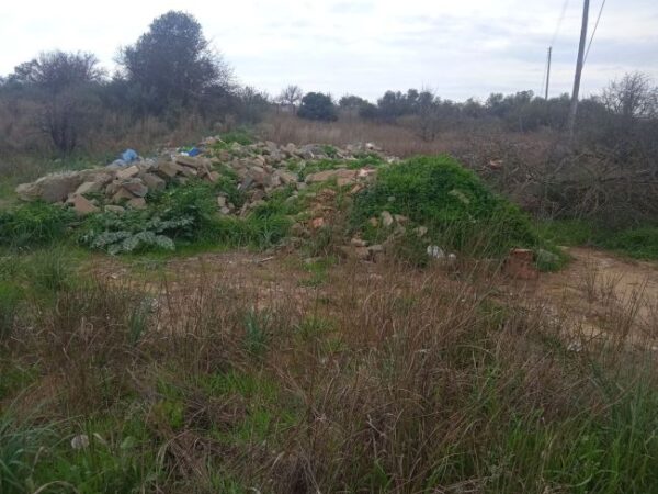 481170584 9322987741129891 4607120803545989889 n