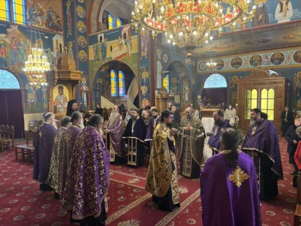 img 40f77fa724717ff9cf0e5a5965b98b06 v