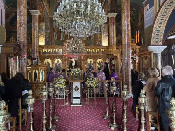 img 9c3602ccbaa8b47376c9779a113f8414 v