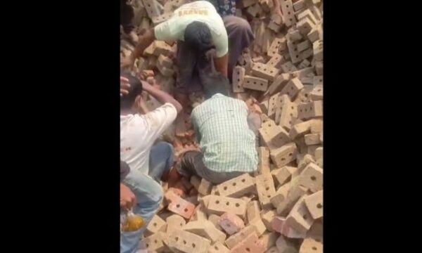 c377470a 2025 03 29 0cb kleki