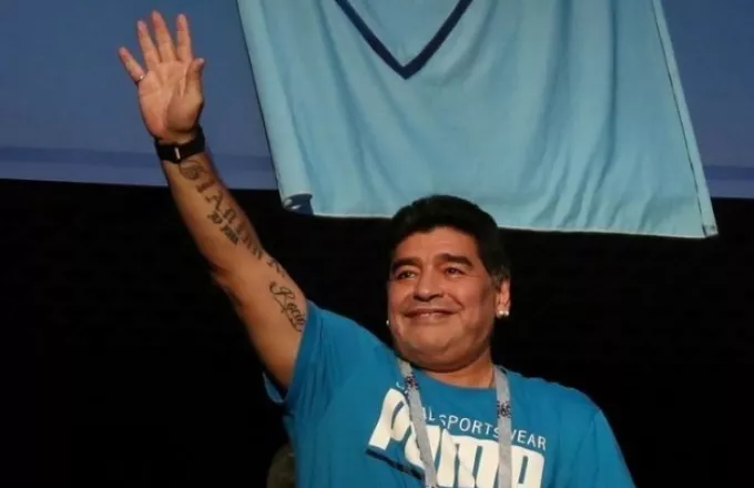 maradona ape.jpg
