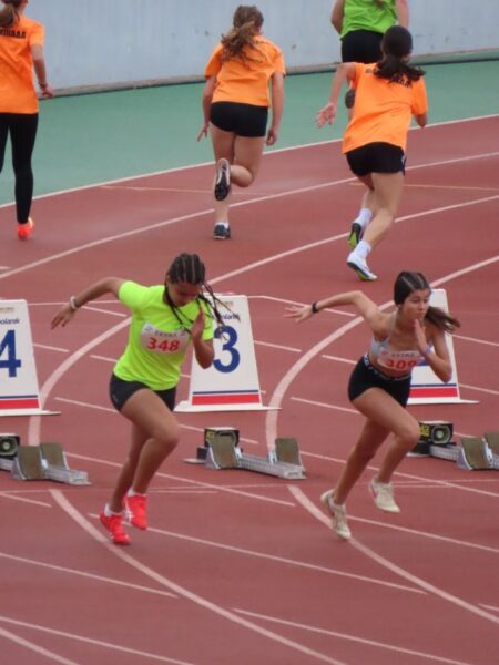 494488627 1233980291779983 1938408742977220938 n