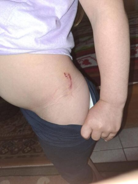 aitoliko adespoto 450x600