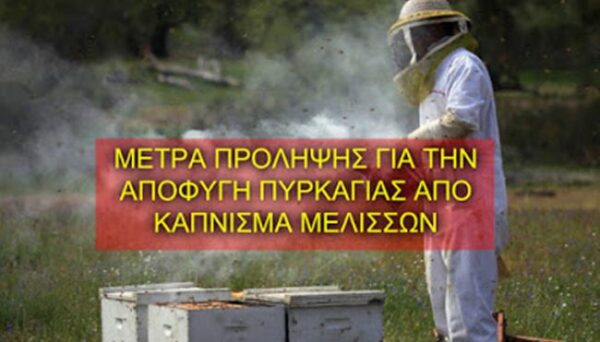 kapnisma melisson