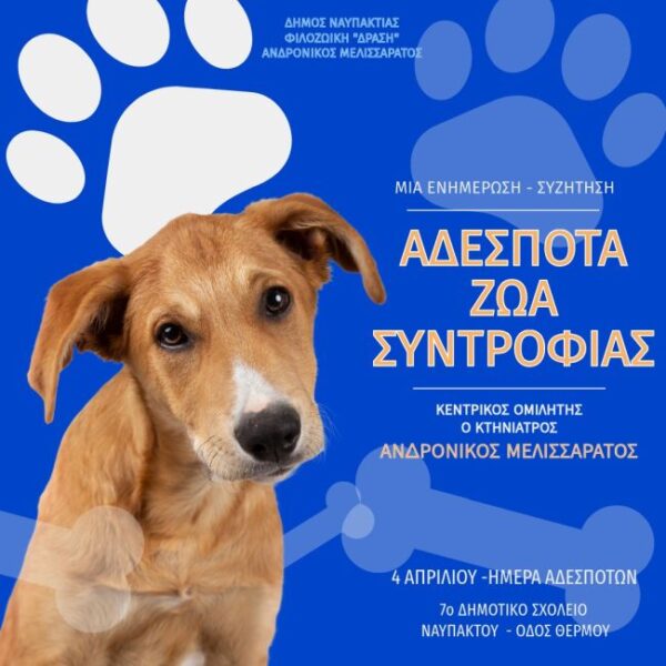 ΕΝΗΜΕΡΩΣΗ ΣΥΖΗΤΗΣΗ