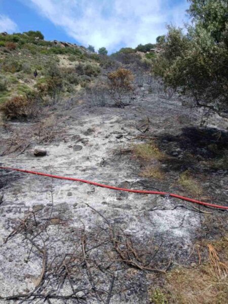 0087bac5 3698 4126 9826 61a745114016