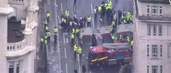 1000 09df39e8 637f 4af2 b2d4 e8671d603231