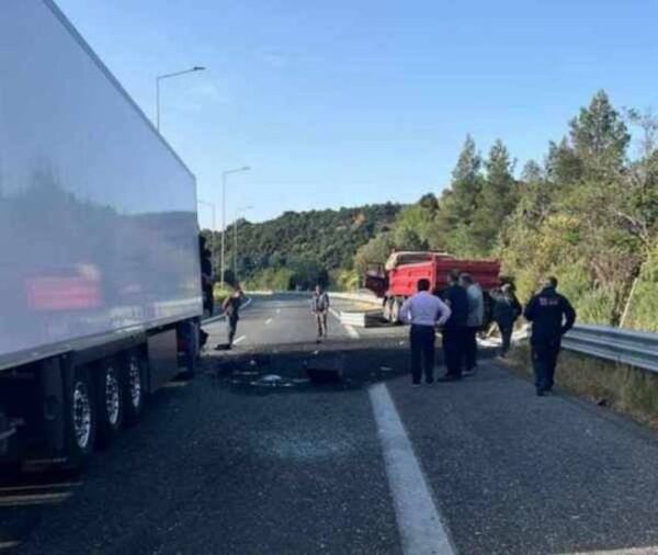 494325199 3567113463598301 841575757829114956 n