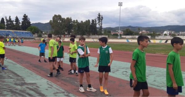 495375272 1337932054462690 991100945318129545 n