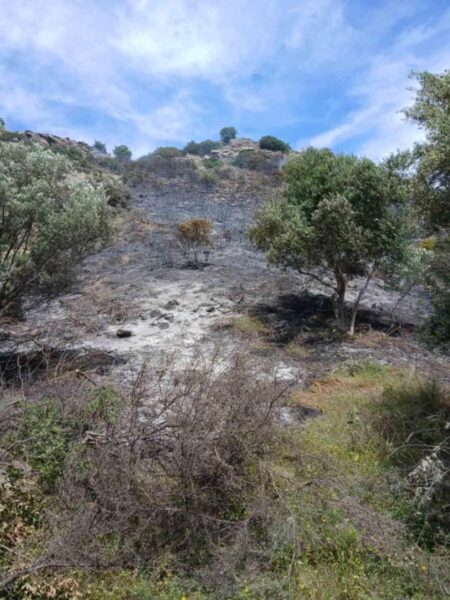 7123cf1c b8ef 402e b4db ed49323b424e