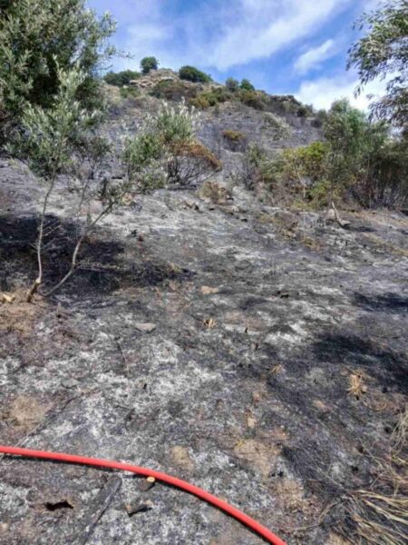 894a9712 3b97 4d0b ba39 ee6dd04f0eef