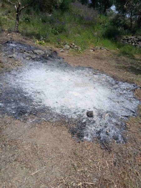 9d402fb0 2911 4ee9 ab1c 80e99d711e87