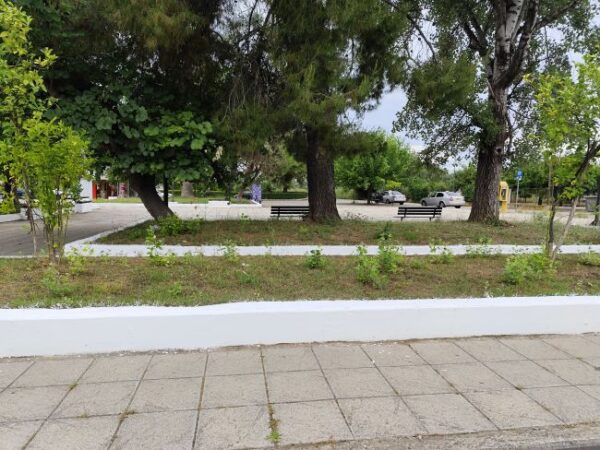 img 20250530 125055