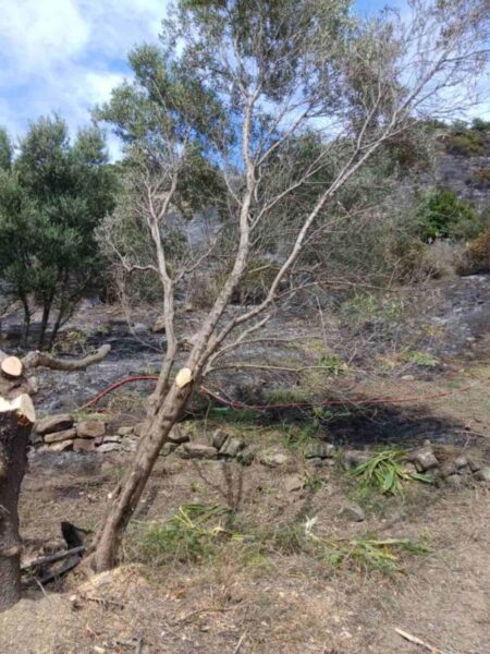 ab0e8be9 2815 4b30 8920 8adc9658baab