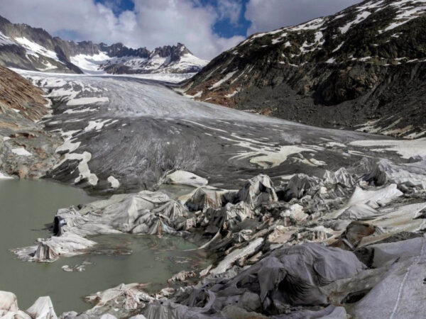 ap elvetia pagetonas