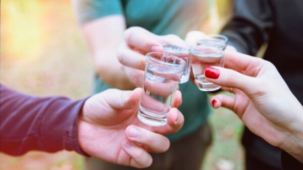 drink vdoka