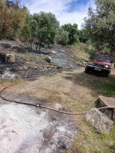 e5df8345 3364 44fd a554 497c0c083ded