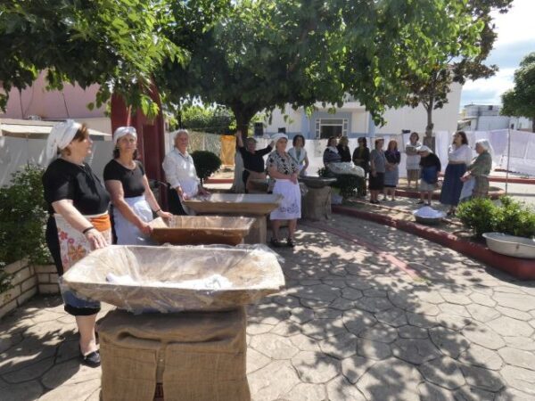 kalyvia anavioshi ethimou plysimo proikion nyfis 6