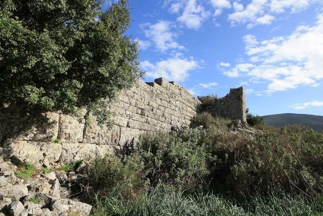 limnaia