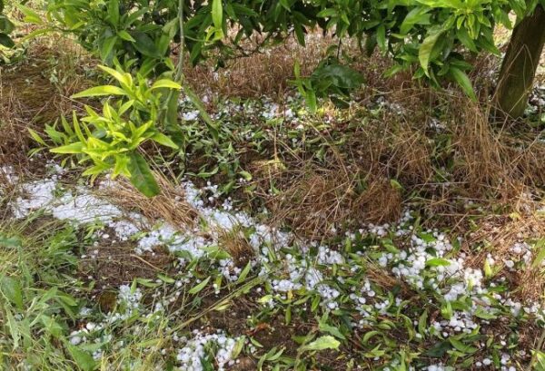 xalazi kalyvia maios 8