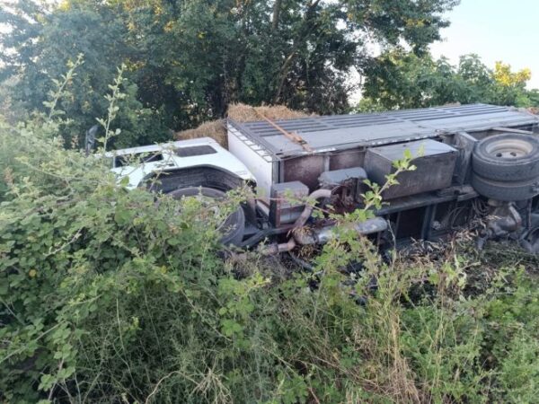 fortigo ektropi troxaio 3