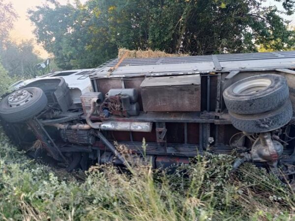 fortigo ektropi troxaio 4