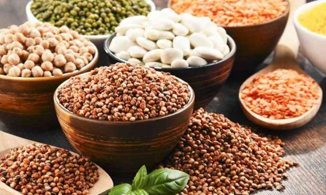 legumes igeia