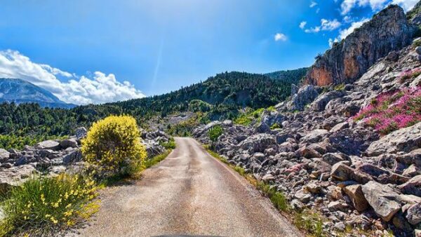 unnamed 2025 06 26t224424.944