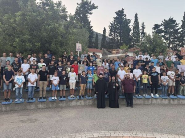 img 0ea187a156f198dad2840eb5a3662cc1 v