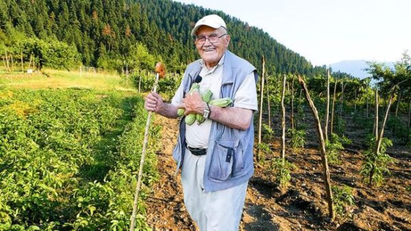 unnamed 2025 07 02t222557.208