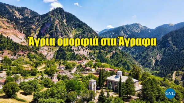 unnamed 2025 07 11t215359.604