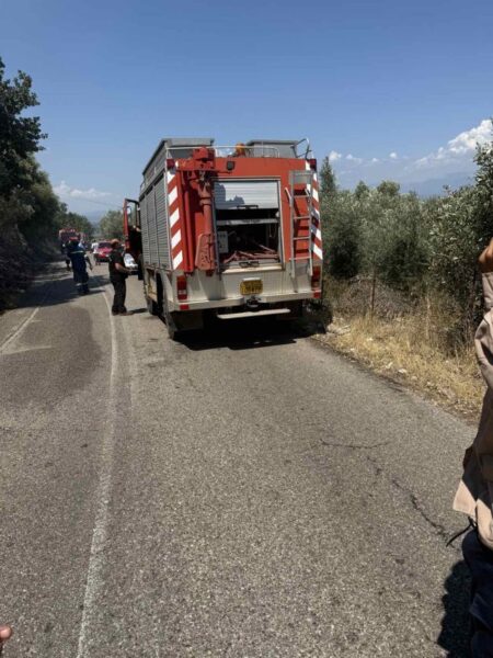 Φωτιά Παλαιομάνινα 772025 (1)