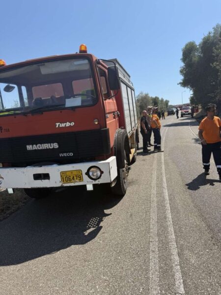 Φωτιά Παλαιομάνινα 772025 (2)